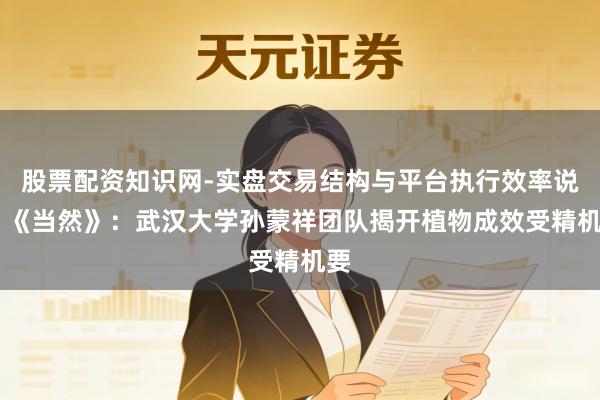 股票配资知识网-实盘交易结构与平台执行效率说明 《当然》：武汉大学孙蒙祥团队揭开植物成效受精机要